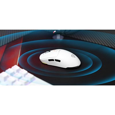 ZIRCON 660 bílá GENESIS